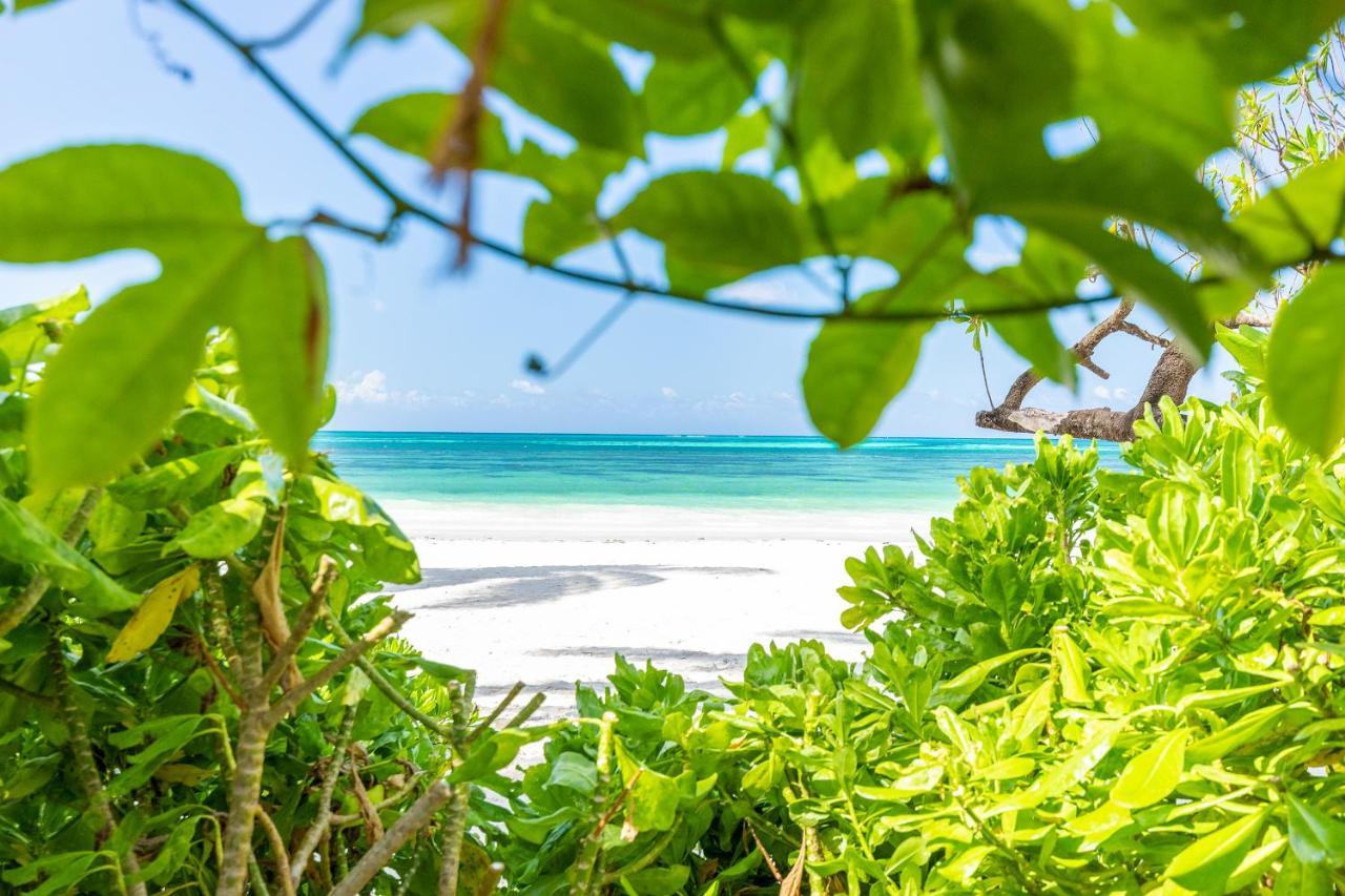 Surfescape Zanzibar Daire Kiwengwa  Dış mekan fotoğraf